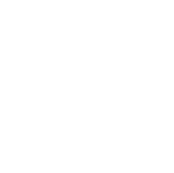 WSE International